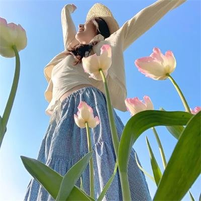 新神探联盟
